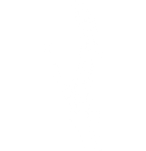 Osteo Arthritis logo